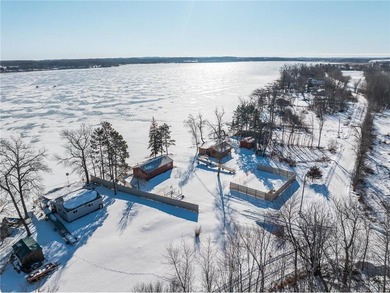 Big Swan Lake - Todd County Home For Sale in Burnhamville Twp Minnesota