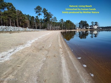 Sandy Bay subdivision offers 7 TROPHY waterfront lots. Lot 1 has - photo 7