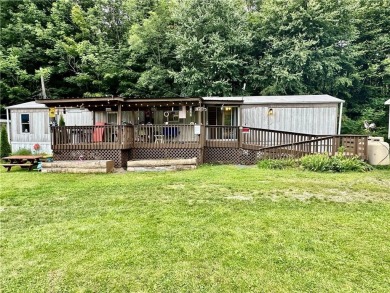 Lake Home For Sale in Howard, New York