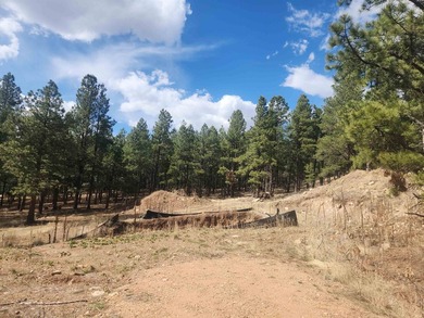 Monte Verde Lake Lot For Sale in Angel Fire New Mexico