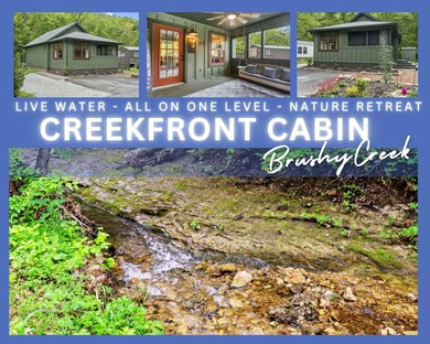 Table Rock Lake Home For Sale in Blue Eye Missouri