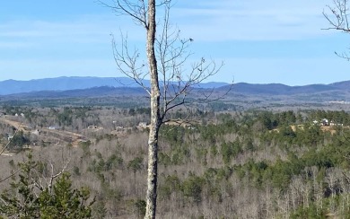 Long Range Year-Round Mountain Views. Wonderful opportunity to - Lake Lot For Sale in Blairsville, Georgia