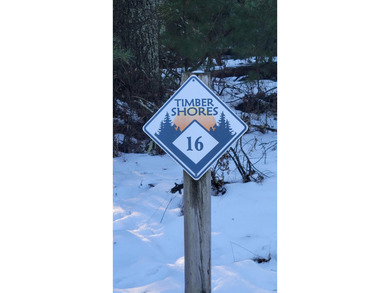 Castle Rock Lake Lot For Sale in Arkdale Wisconsin