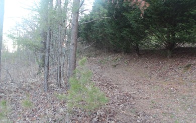 Lake Lot For Sale in Hiawassee, Georgia