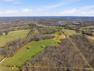 (private lake, pond, coastal) Home For Sale in Lonedell Missouri