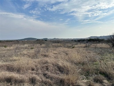 Level two acre lot with potential for a lake view. Lot ownership - photo 4