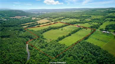 Lake Acreage For Sale in Prattsburgh, New York
