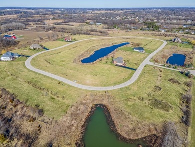 Brand new ranch home on a fantastic half acre+ Lakewood home - photo 5