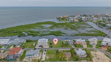 DIRECT GULF ACCESS o OPEN WATER GULF VIEWS o WESTERN REAR - photo 3