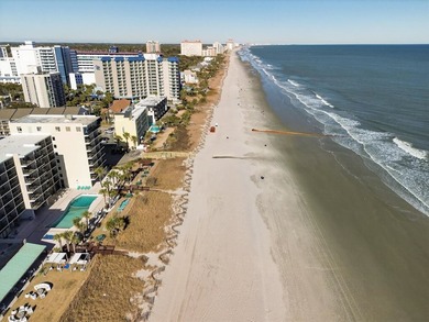 Ocean Dunes Tower I is a well-established oceanview condominium - photo 5