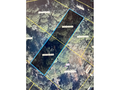 Lake Murray Lot For Sale in Leesville South Carolina