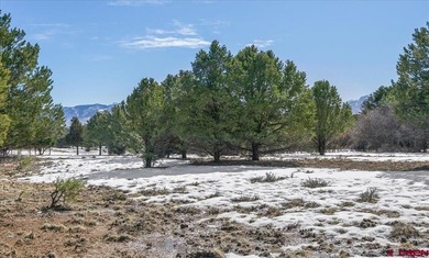 Mistalyn Kuzov, United Country Sneffels Realty, C:,,: Motivated - photo 11