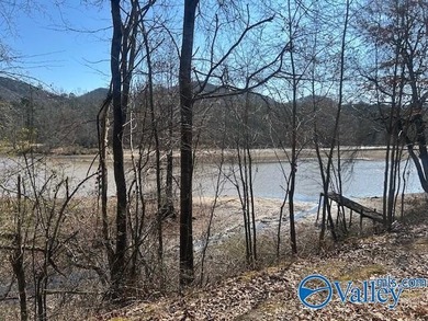 Discover your opportunity to build on this lake front lot - photo 1
