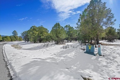 Mistalyn Kuzov, United Country Sneffels Realty, C:,,: Motivated - photo 12
