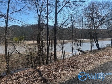 Discover your opportunity to build on this lake front lot - photo 2