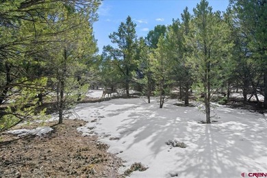 Mistalyn Kuzov, United Country Sneffels Realty, C:,,: Motivated - photo 13