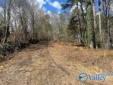 Discover your opportunity to build on this lake front lot - photo 3