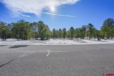 Mistalyn Kuzov, United Country Sneffels Realty, C:,,: Motivated - photo 14