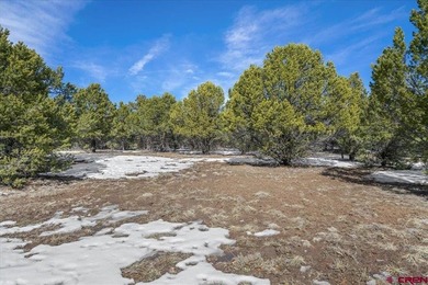 Mistalyn Kuzov, United Country Sneffels Realty, C:,,: Motivated - photo 15