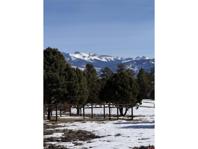 Mistalyn Kuzov, United Country Sneffels Realty, C:,,: Motivated - photo 16