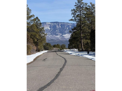 Mistalyn Kuzov, United Country Sneffels Realty, C:,,: Motivated - photo 17