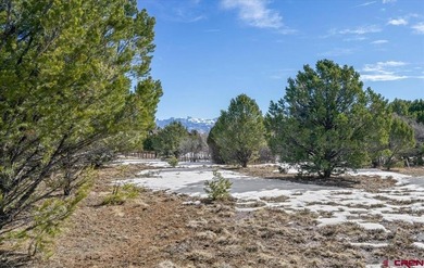 Mistalyn Kuzov, United Country Sneffels Realty, C:,,: Motivated - photo 18