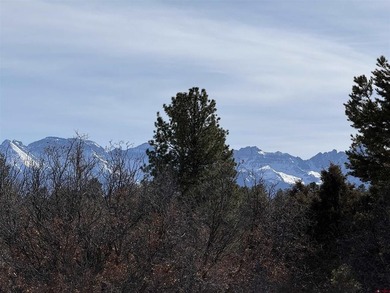 Mistalyn Kuzov, United Country Sneffels Realty, C:,,: Motivated - photo 19