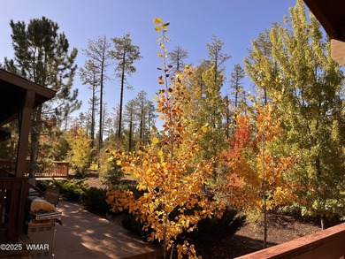 Brand new Trex back deck and front steps for this beautifully - photo 31