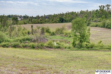 Rare opportunity to own a beautiful piece of land with - photo 4