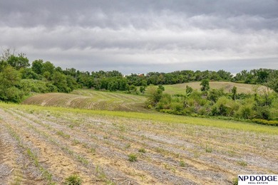 Rare opportunity to own a beautiful piece of land with - photo 5