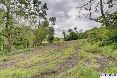 Rare opportunity to own a beautiful piece of land with - photo 8