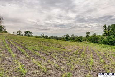 Rare opportunity to own a beautiful piece of land with - photo 10