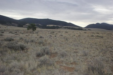 10 acres of mountain and Eagle Nest Lake views. This lot is in - photo 3