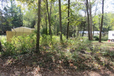 Lake Lot For Sale in Fremont, Indiana