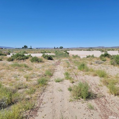 Lake Lahontan Acreage For Sale in Silver Springs Nevada