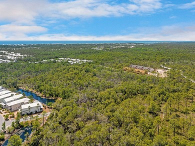 Positioned within NatureWalk at Seagrove, Turkey Oak Drive - photo 11