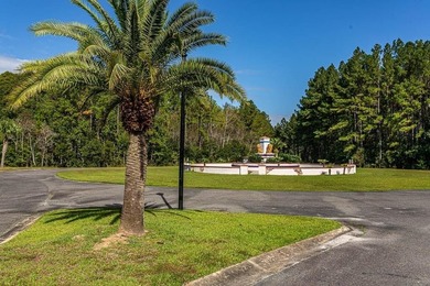 Stunning +/-3.0 acres tidal creek frontage lot in Tuscan - photo 15