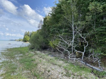 Lake Huron - Cheboygan County Acreage For Sale in Cheboygan Michigan
