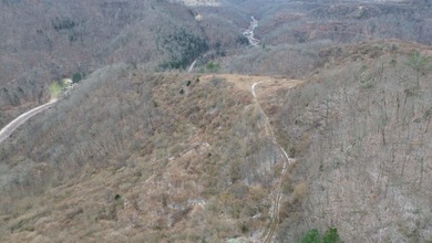 Rare opportunity in Martin County, Kentucky! This 680 acre farm - photo 39
