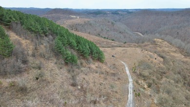 Rare opportunity in Martin County, Kentucky! This 680 acre farm - photo 41
