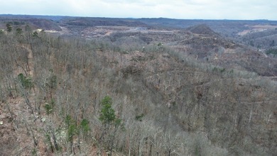 Rare opportunity in Martin County, Kentucky! This 680 acre farm - photo 42