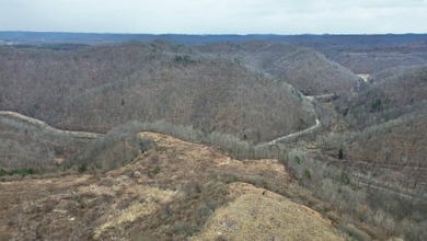 Rare opportunity in Martin County, Kentucky! This 680 acre farm - photo 44