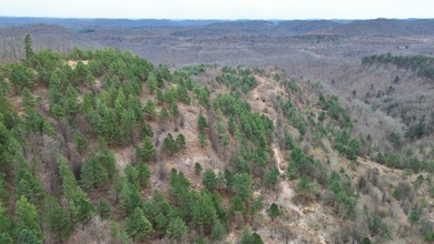 Rare opportunity in Martin County, Kentucky! This 680 acre farm - photo 47