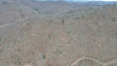 Rare opportunity in Martin County, Kentucky! This 680 acre farm - photo 49