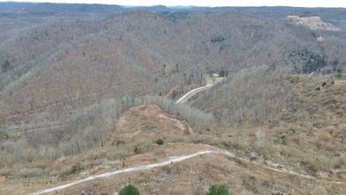 Rare opportunity in Martin County, Kentucky! This 680 acre farm - photo 50