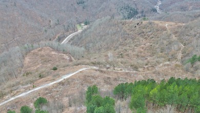 Rare opportunity in Martin County, Kentucky! This 680 acre farm - photo 51