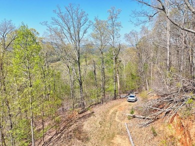 Lake Lot For Sale in Blairsville, Georgia