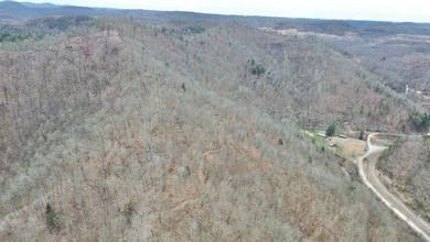 Rare opportunity in Martin County, Kentucky! This 680 acre farm - photo 56