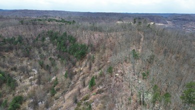Rare opportunity in Martin County, Kentucky! This 680 acre farm - photo 57
