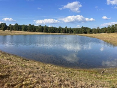 Lake Acreage For Sale in Avinger, Texas